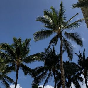 Meet your Posher, Kaitlyn